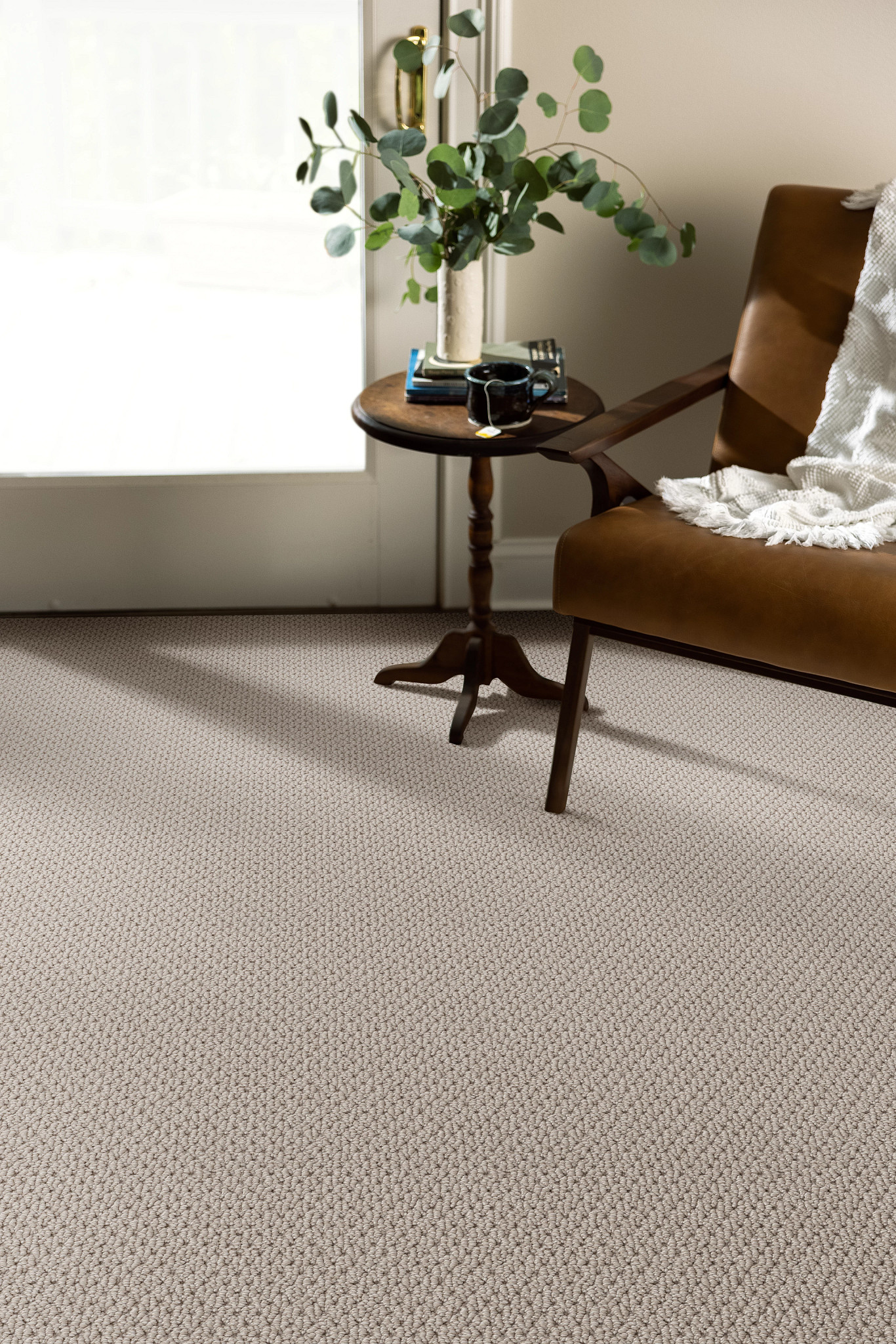 office brown chair table with plant beige carpet